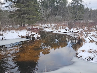 0WP Emmonsburg Red School House Rd Unit LotWP001, Salisbury Center, NY 13454