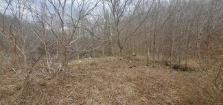 19390 Brownville Rd, Waynesville, MO 65583