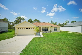 12490 Maycrest Ave, Weeki Wachee, FL 34614