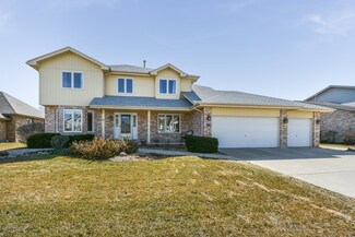 8649 Harvest View Ln, Tinley Park, IL 60487