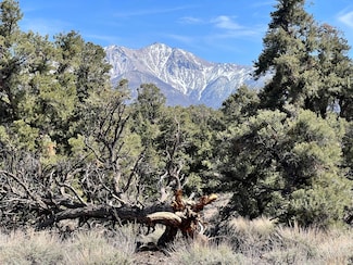 APN 00748005, Luning, NV 89420