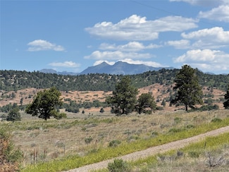 0 Pd 1796 Unit 202503110, Chama, NM 87520