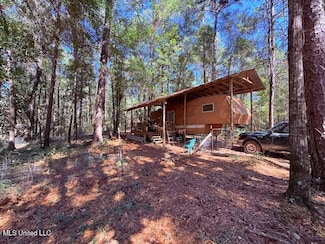 427 Ginntown Rd, Tylertown, MS 39667