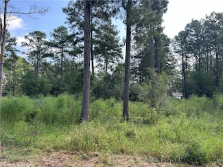 46376 Milton Rd, Hammond, LA 70401