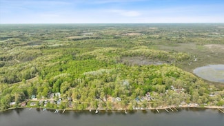 V/L W Bricker Rd, Orleans Township, MI 48834