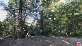 0 Ponderosa Unit 25524225, Cedar Glen, CA 92321