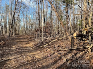 3288 Tatertown Loop Unit 4, Nebo, NC 28761
