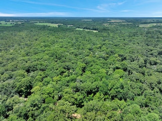 1056 Hempstead Church Rd, Pavo, GA 31778