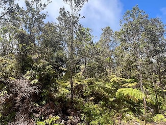 0 Ala Ohia St Unit 723172, Volcano, HI 96785