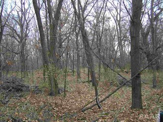 00 Harrison St, Manito, IL 61546