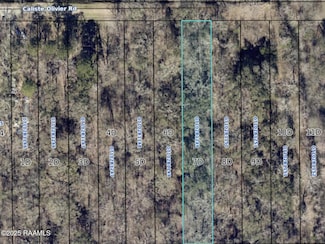 Lot 7-D Caliste Olivier Rd, Breaux Bridge, LA 70517
