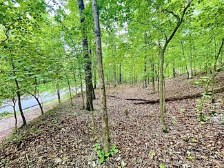 8128 W Clear Creek Rd, Flint Creek, OK 74347