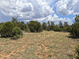 8384 Haven Crest Dr, Happy Jack, AZ 86024