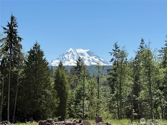 29555 150th Ave E, Graham, WA 98338
