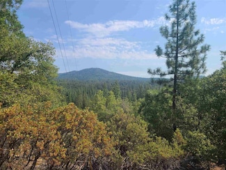 17320 Mount Everest Ct, Mono Vista, CA 95370