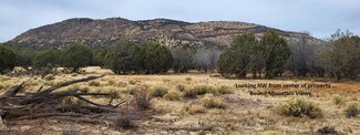 Lot 51 N Ranch Road -- Unit 51, Williams, AZ 86046