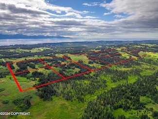 L12 Nka Crossman Ridge Ave, Homer, AK 99603
