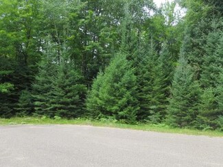 Lt 20 Oakwood Ct, Plum Lake, WI 54561