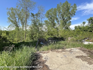 9731 Coats Grove Rd, Woodland, MI 48897