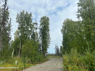 49365 S Noahs Cir, Willow, AK 99688