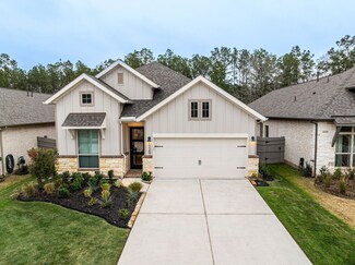 17367 Merigold Heights Dr, Woodloch, TX 77302