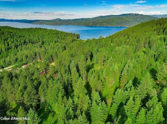 NKA-2 Skyview Rd, Harrison, ID 83833