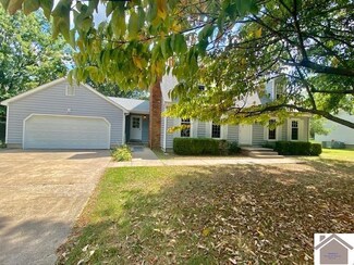 206 Duffers Ln, Mayfield, KY 42066