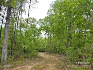 4218 Henry Dellinger Rd, Maiden, NC 28650