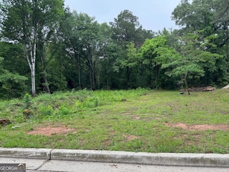 0 Old Toney Rd Unit 10521535, Ellenwood, GA 30294