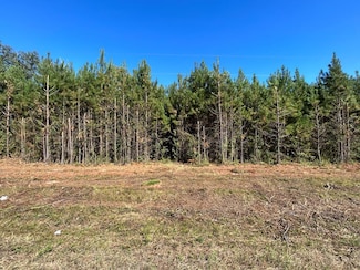 9 Willie Varnum Rd, Dothan, AL 36301