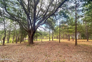 23ac Hinton Rd, Lucedale, MS 39452