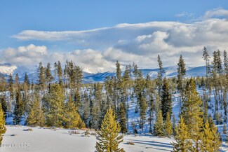 1768 Gcr 5194c Elk Meadows Way, Tabernash, CO 80478