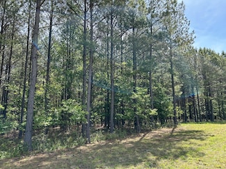 250 Bear Trace Dr, Jasper, TN 37347