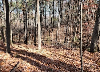 6033 Rice Ln, Granite Falls, NC 28630