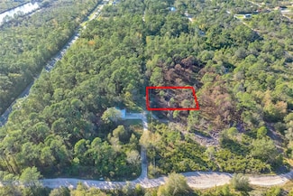 217 Pigeon Ave, Sebring, FL 33870