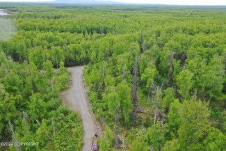 10387 S Ridge Rd, Big Lake, AK 99654