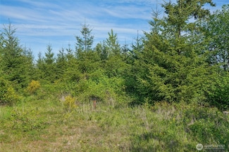 143 Bootjack Ln Unit Lot 2, Kelso, WA 98626