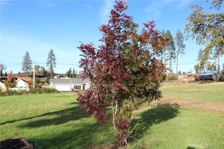 676 Meyers Ln, Paradise, CA 95969