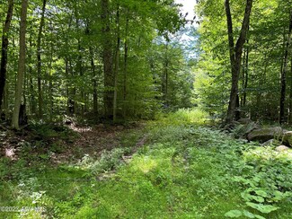 66-1-5.1 Fulton House Spur #2, Old Forge, NY 13420