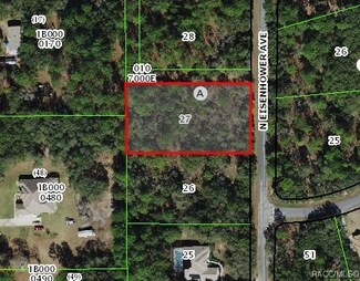 3882 N Eisenhower Ave, Hernando, FL 34442