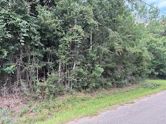 0 Dailey Rd Unit 4118005, Gautier, MS 39553