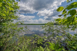Off U S 45 Unit 3, Three Lakes, WI 54562