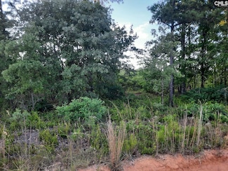 TBD Hutto Pond Rd, Aiken, SC 29805
