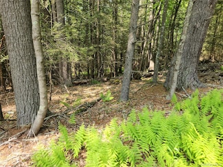 0 Highland Lake Rd Unit KEY868497, Highland, NY 12732