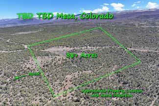 0 Tbd Unit 23812259, Mesa, CO 81643