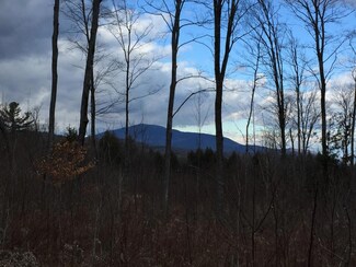 Lot #1 Old Bow Rd, Weathersfield, VT 05156