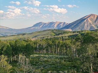 2500 County Road 6, Gunnison, CO 81230