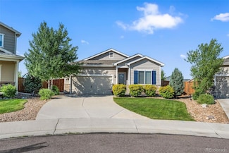 540 6th St, Dacono, CO 80514