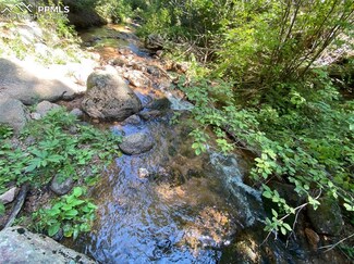 5521 Cheyenne Dr, Larkspur, CO 80118