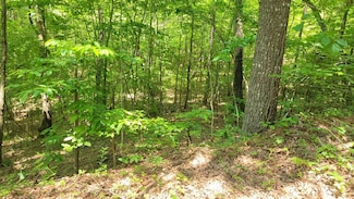 11,12 Mountain Laurel Estate, Young Harris, GA 30568